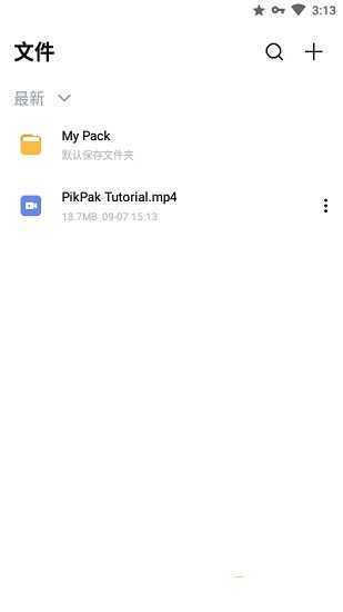 PikPak2024