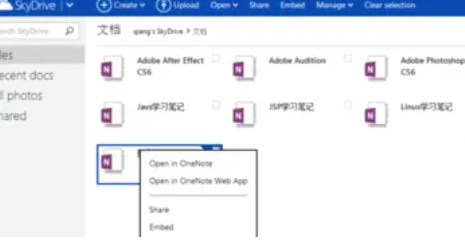 OneNote