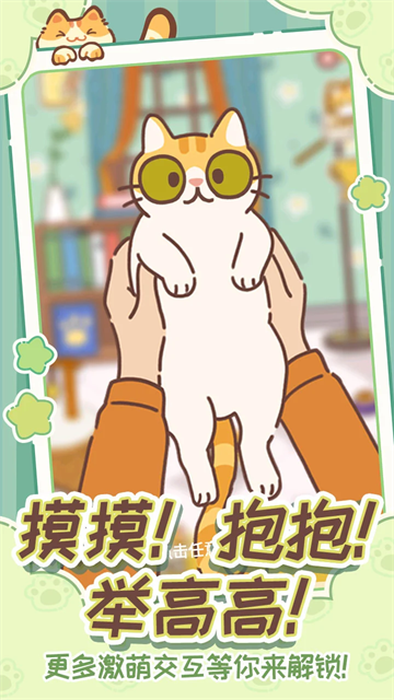 领养一只流浪猫