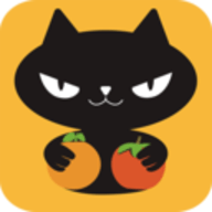 橙柿猫