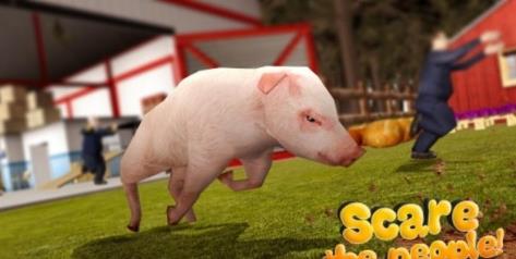 疯猪模拟器(PigSimulator)