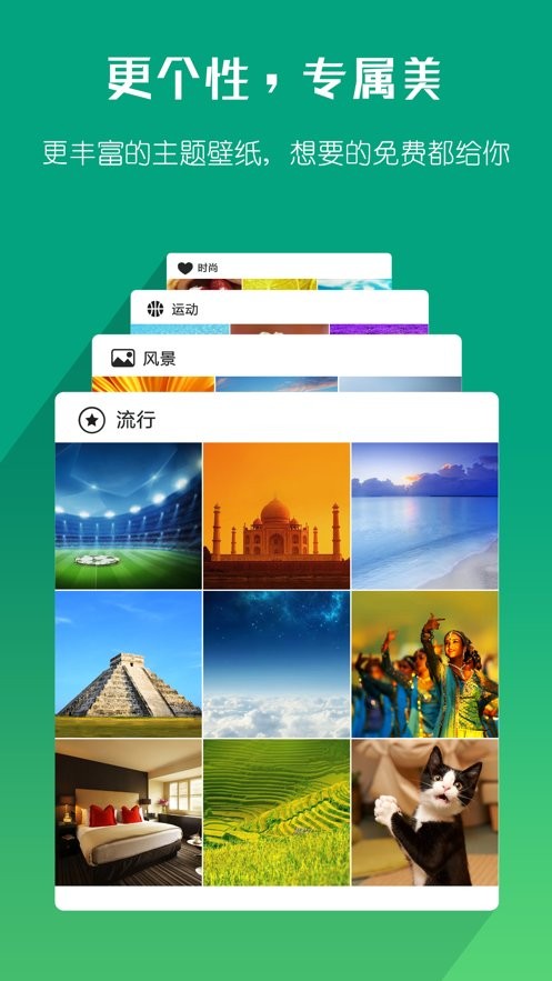 海豚浏览器Flash版