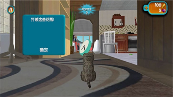 奶奶贴心小猫