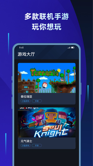 贝锐蒲公英联机平台