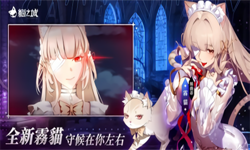 猫之城台服