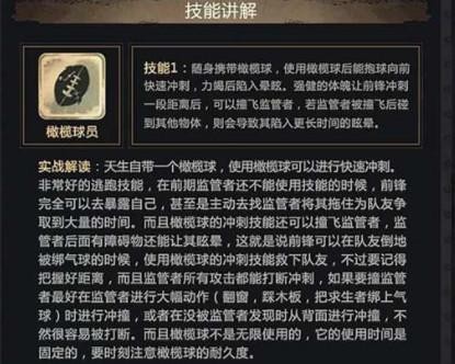 第五人格测试服