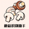 蘑菇识别