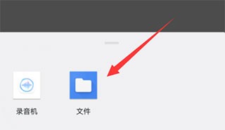 Kiwi浏览器