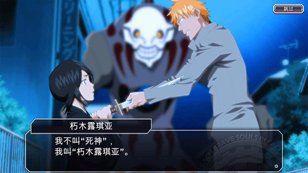 Bleach安装器