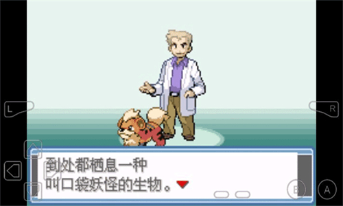 口袋妖怪永恒之焱XYZ神兽版