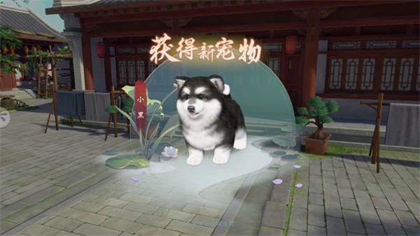 浮生忆玲珑渠道服