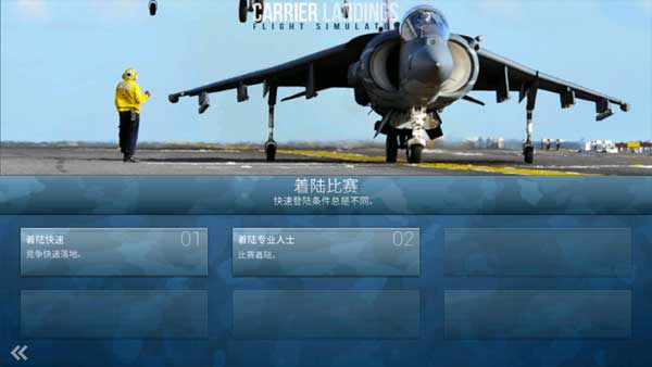 CarrierLandings安装器