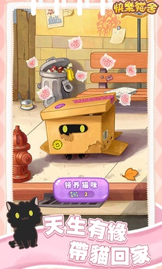 快乐猫舍
