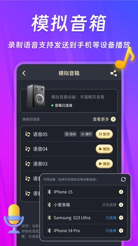 话筒扩音器 话筒扩音器