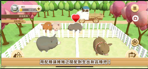 養豬場3D安装器