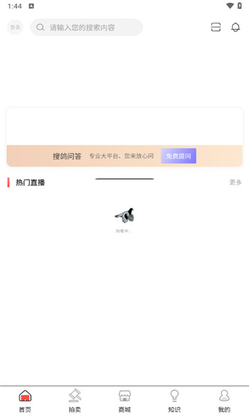 搜鸽网