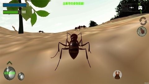 蚂蚁生存模拟器 蚂蚁生存模拟器