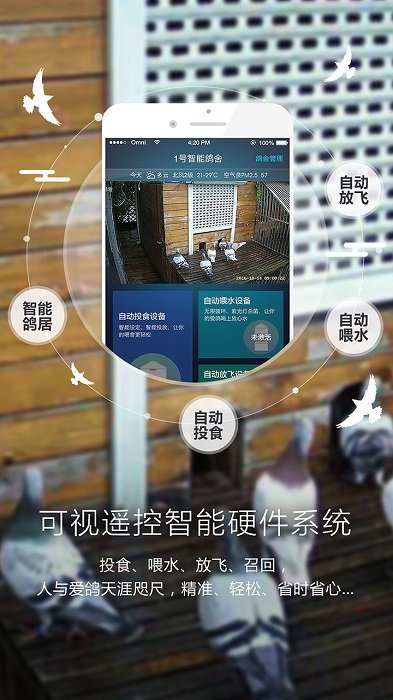 爱鸽者 爱鸽者