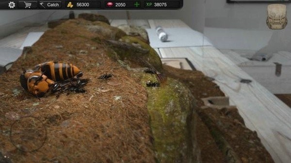 AntSimTycoon安装器