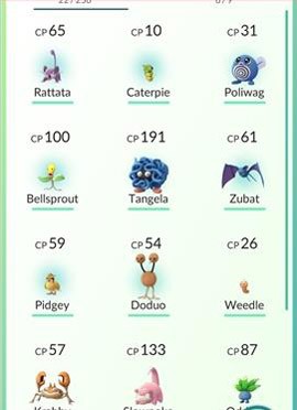 Pokemon