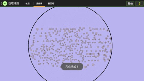 细胞实验室