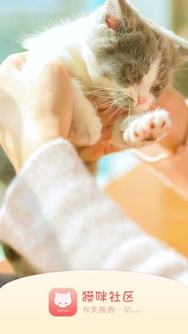 猫咪社区3.1.2releaszip最新