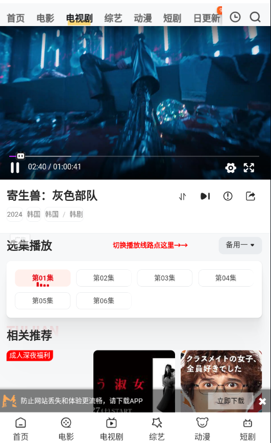 追影猫