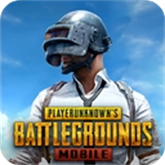 PUBG地铁逃生中文版