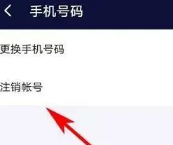 网易UU加速器