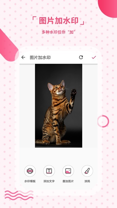 水印相机手机版 水印相机手机版