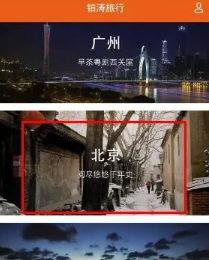 铂涛旅行