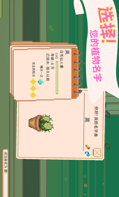 窗边花园