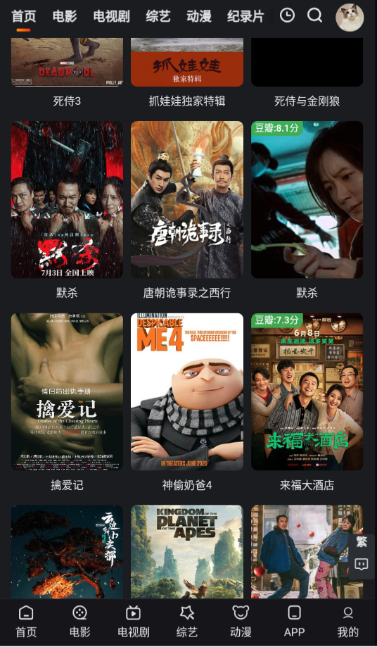 追影猫