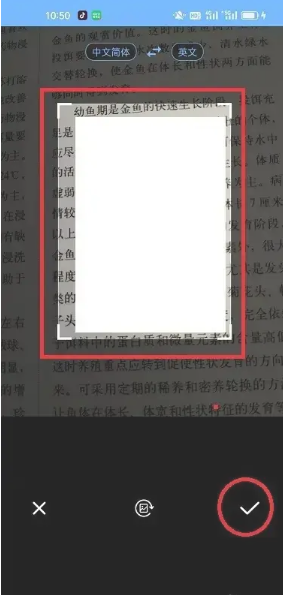 洋果扫描王