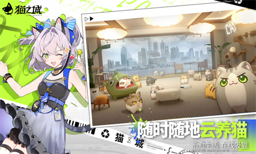 猫之城2.0