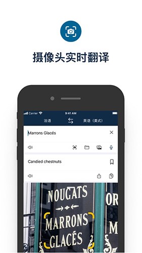 deepl翻译器老版