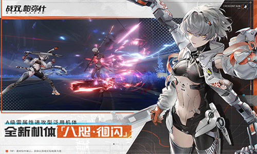 战双帕弥什B服