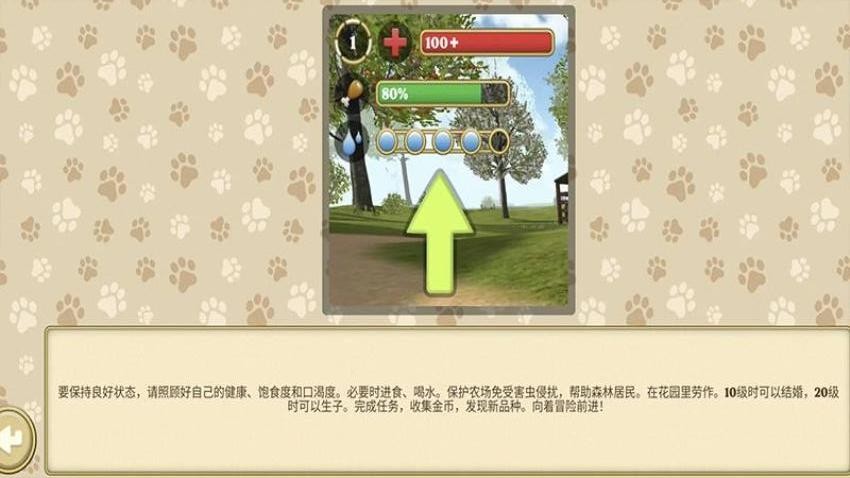 小猫官方最新版