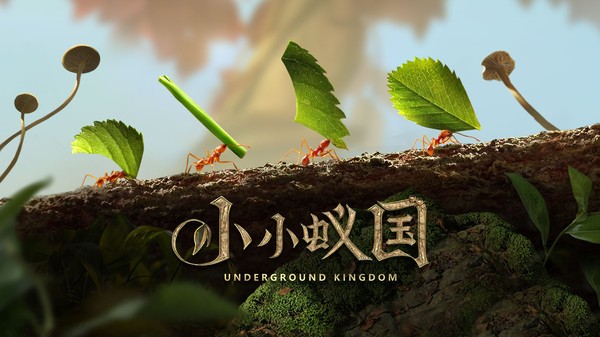 小小蚁国真实蚁巢