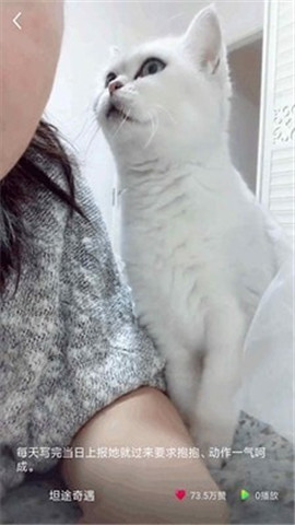 给多多