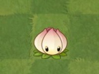 植物大战僵尸经典版