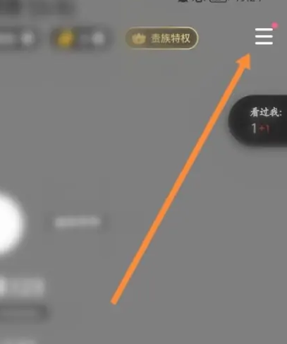 TT语音