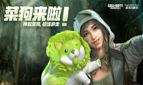 使命召唤手游繁中版