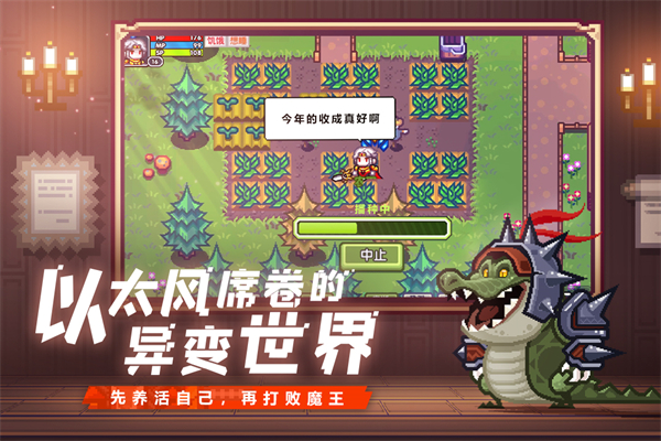 伊洛纳最新版本
