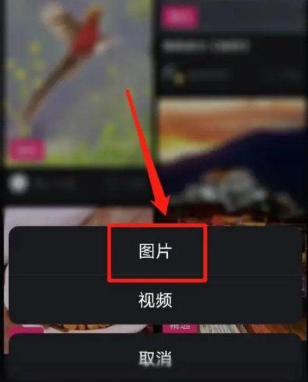 图曰