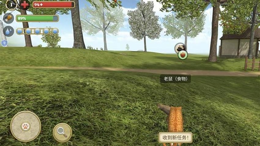 小猫官方最新版