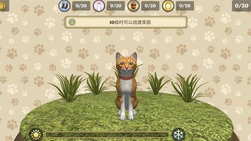 小猫官方最新版