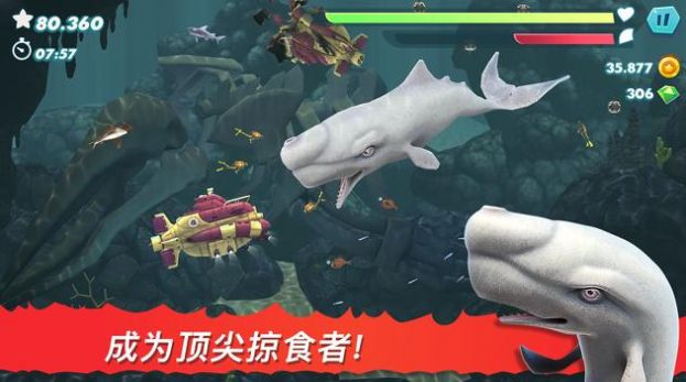 饥饿鲨进化2015老版本