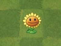 植物大战僵尸经典版