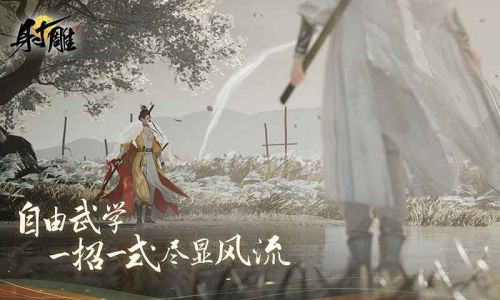 射雕网易手游